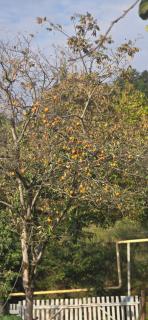 Sani's twins cottege - 4