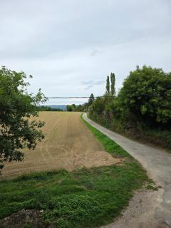 La Planque de Litz - Charme et calme en pleine nature - 7