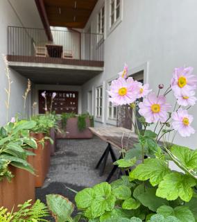 Apartments Cafe Hexe - 3