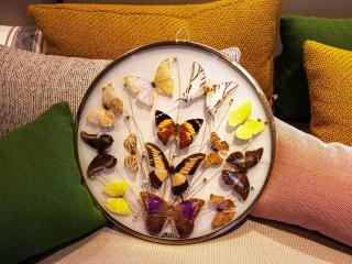 Greet Hotel Colmar - 3