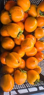 Sani's twins cottege - 5