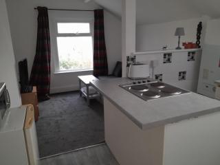 Canton Principality Stadium Studio Apartment - 0