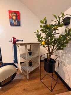 Idyllische Ferienwohnung - 1