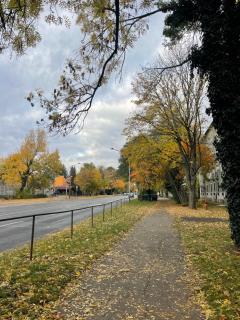 Manda's Flat - Miskolc - 8