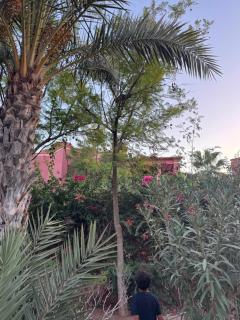 Zellige Suite - Gouvernante et piscine ! - 4