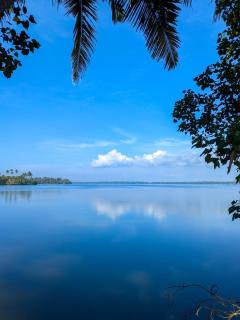 Lakefront 1 BR Cabin with Lake access & Hammock - 4