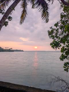 Lakefront 1 BR Cabin with Lake access & Hammock - 6