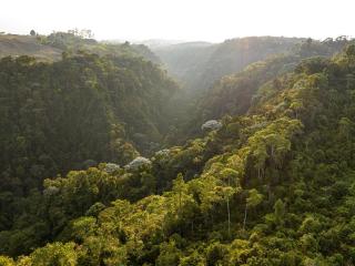Pausa Hospedaje FILANDIA - 7