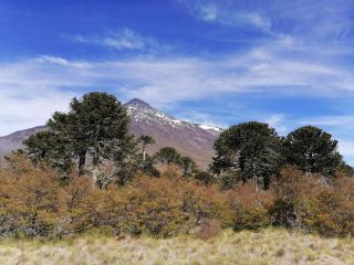 Cabaña Pocolpen - 7