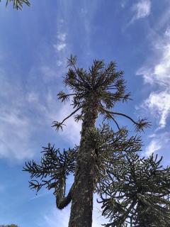 Cabaña Pocolpen - 6