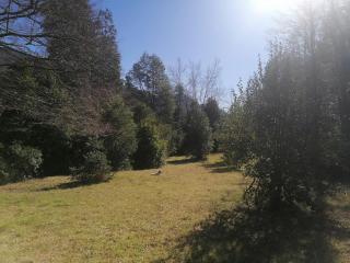 Cabaña Pocolpen - 5