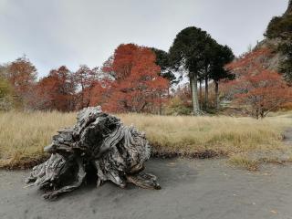 Cabaña Pocolpen - 2