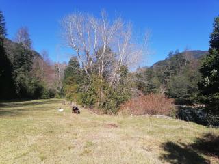 Cabaña Pocolpen - 4