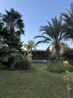 Beldi garden - appartement avec jardin et gouvernante - 5