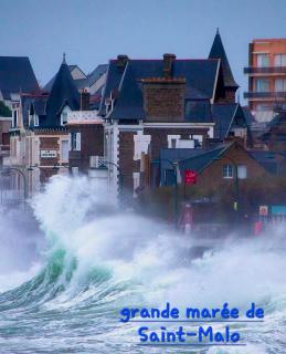 chambre d'hôtes avec petit déjeuner compris à Mégrit - 7