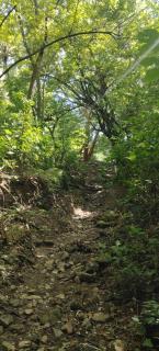 Eco camping JASAL - 2