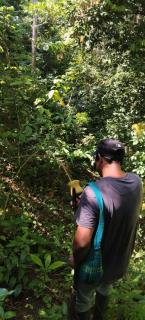 Eco camping JASAL - 3