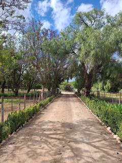 LuFan Studio-Greeff Cottages - 7