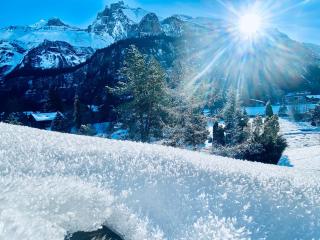 Mountain Residence - 7