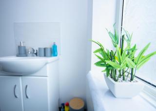 Modern 3-Bed House - Stoke on Trent - 3