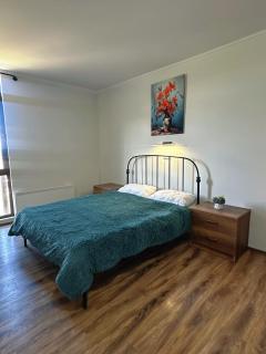 Bakuriani New Mgzavrebi - 4