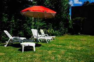 Casa Amplia 5 personas Con Pileta, Amplio Jardin y Parrilla Zona Muy Tranquila en Tigre Centro - 8