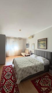 Air Albania Stay - 6