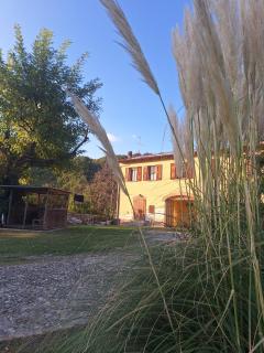 Mini appartamento con formula B&B - 2