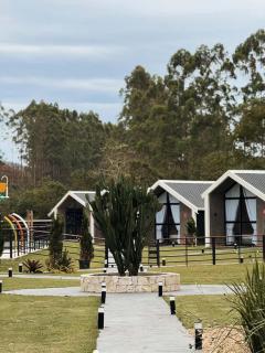 Mandacaru Encantado - 2