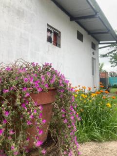 La Aldea de Amalia - Casa 1 - 0