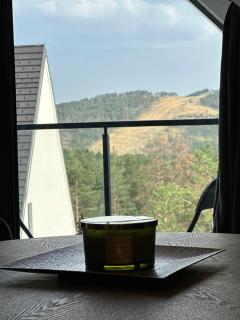 Apartman Planina zove Divcibare - 2