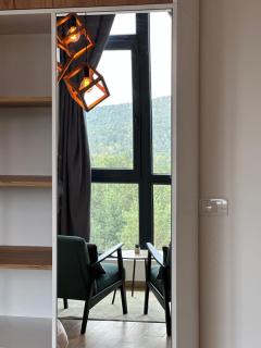 Apartman Planina zove Divcibare - 6