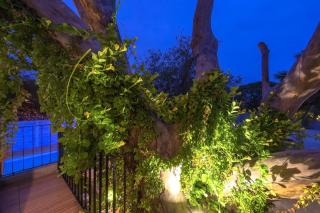 Alberca privada, asador y terraza familiar - 4