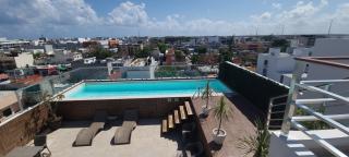 Cozy Studio 203 with WiFi & Netflix - 2