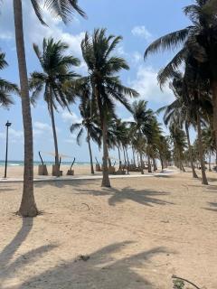 Seaside Two Bedroom Charming Apt - 5