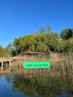 Casa Río Calle Calle - 9