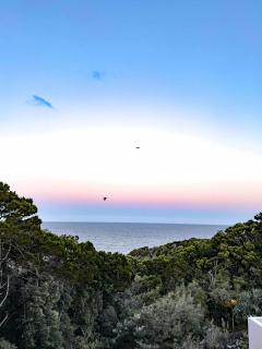 Coolum Beachfront Luxury for Family and Friends - 4