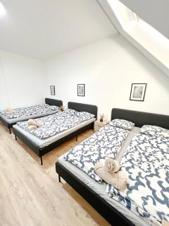 Family apartment - 5 minutes to schönbrunn - 0