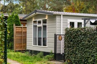 Het Veluwse Boshuisje Hond welkom in Hoenderloo - 2