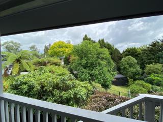 Treetop studio apartment - 5