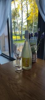 Kotlina Kłodzka Pod Brzozami - 1