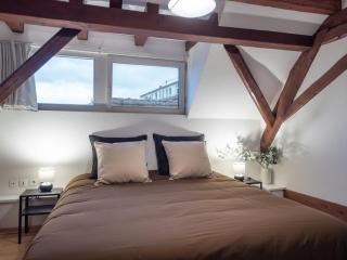 Résidence de 80 m2 avec balcon & cour alsacienne - début Route des Vins - 8