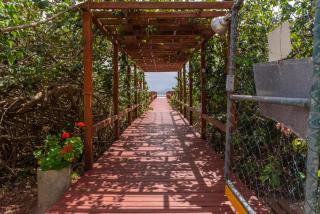 Apartamento de 1 dormitório Ponta das Canas com vista Mar - 8