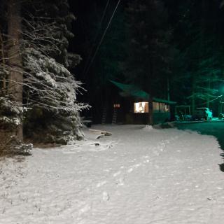 Rustic Willow Retreat - Outdoor Adventures cabin - 8