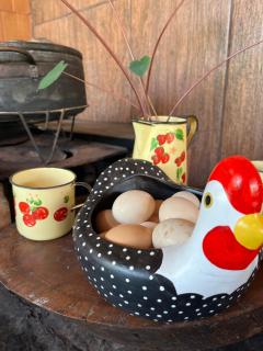 Pousada Estância Mineira - 6