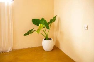 Ocean Breeze Apartments zanzibar - 2