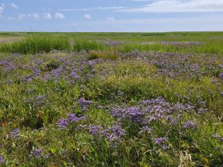 Charming Retreat on Mando - By Traum Ferienwohnungen - 9