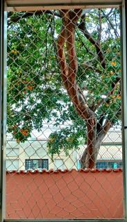 Casa Jabuticaba BnB - 8