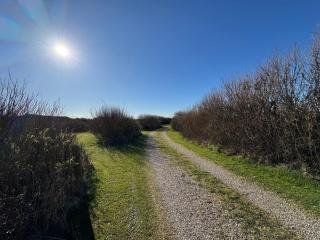 5 person holiday home in Lemvig - 1