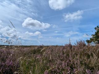 5 person holiday home in Rømø - 1